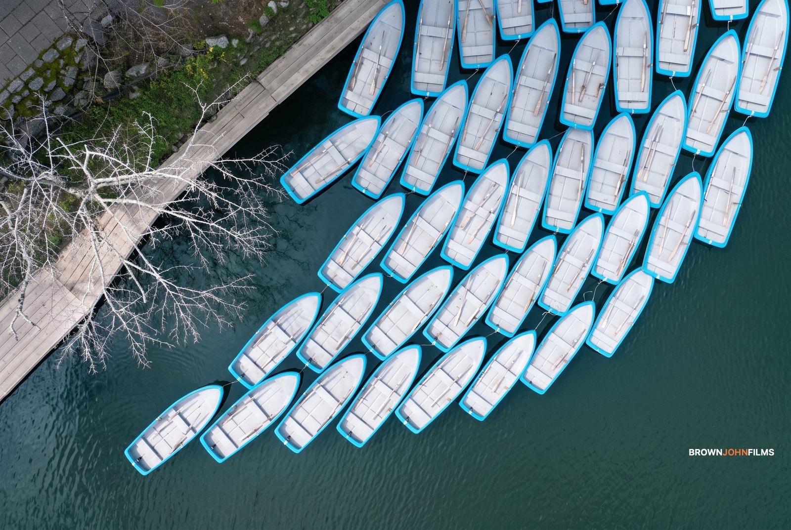 Rows of blue and white rowing boats moored at a dock, from above