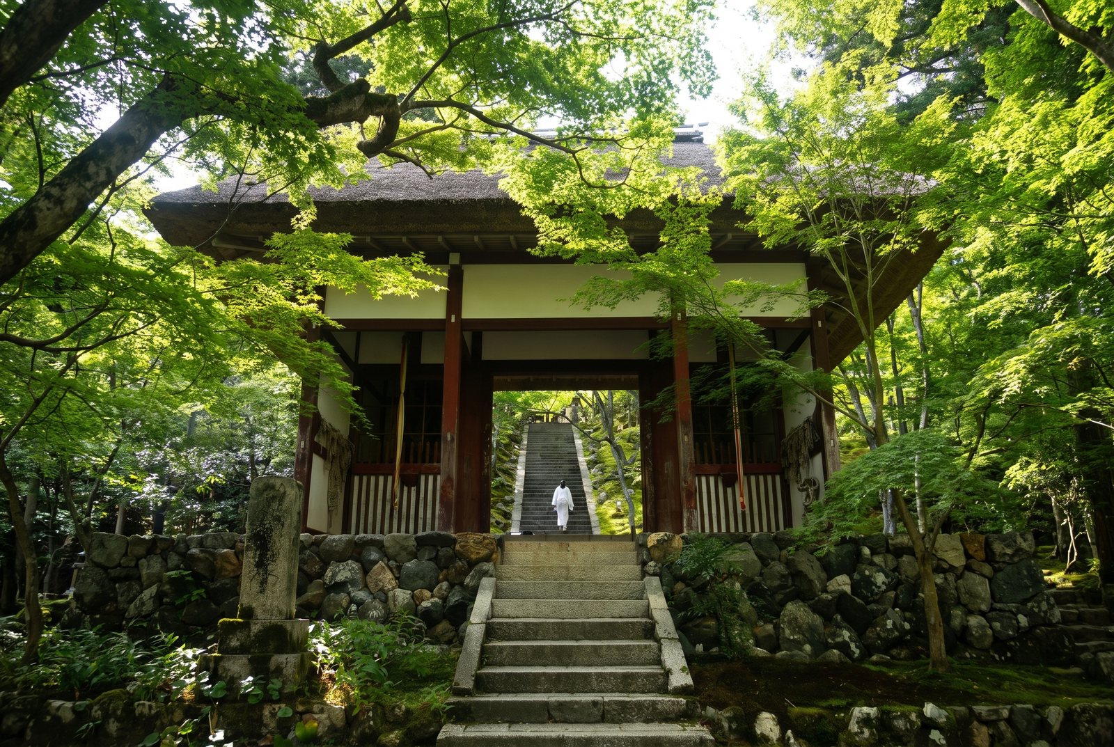 Stone steps rising to a thatched temple gate among green maples